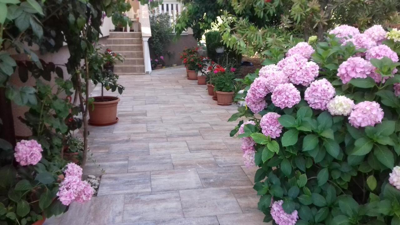 Apartments Filipovic Biograd Na Moru Eksteriør billede