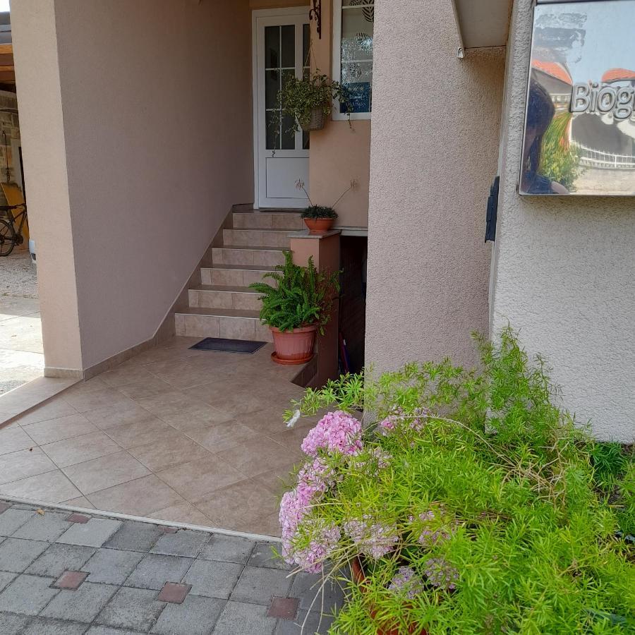 Apartments Filipovic Biograd Na Moru Eksteriør billede