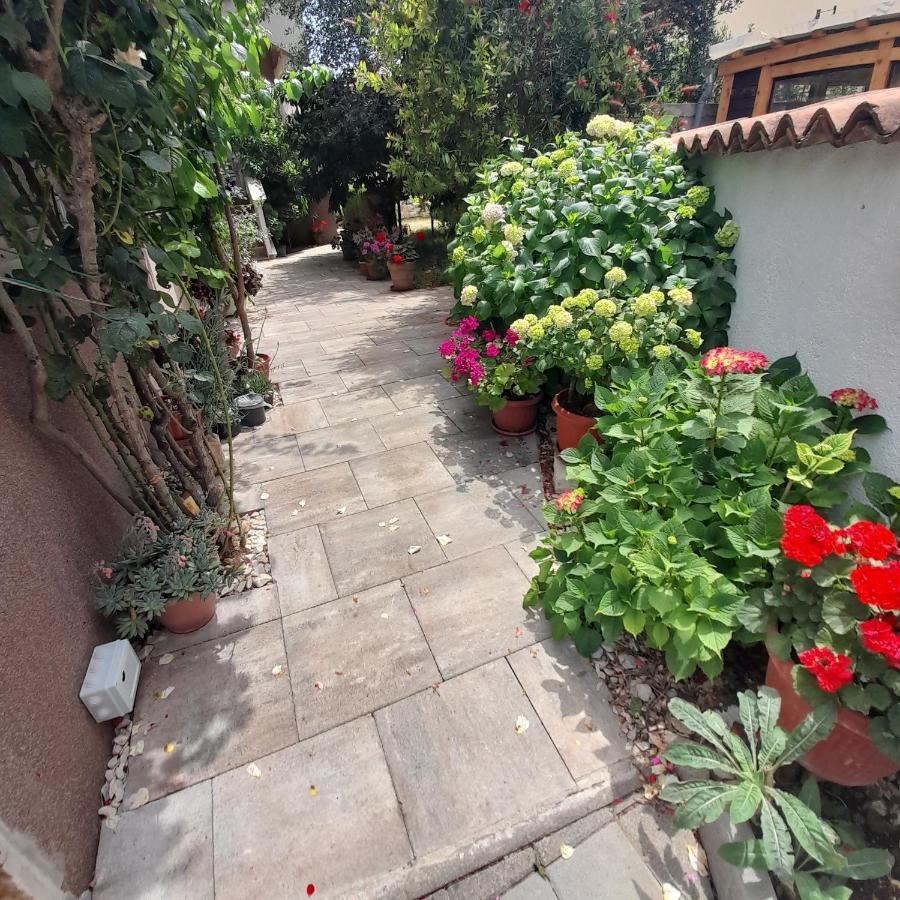 Apartments Filipovic Biograd Na Moru Eksteriør billede