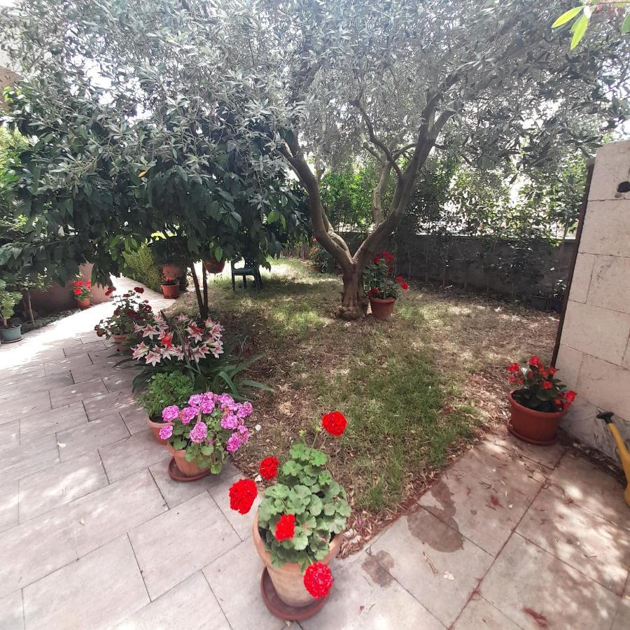 Apartments Filipovic Biograd Na Moru Eksteriør billede