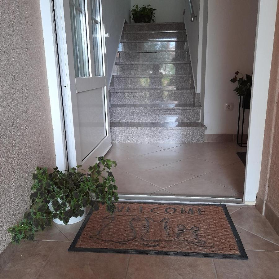 Apartments Filipovic Biograd Na Moru Eksteriør billede